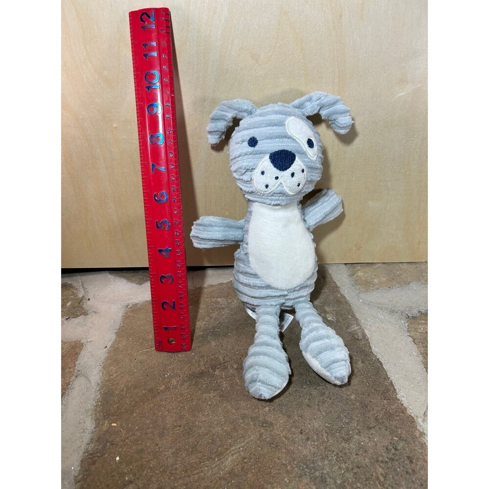 Chick Pea Baby Gray striped puppy dog white belly
